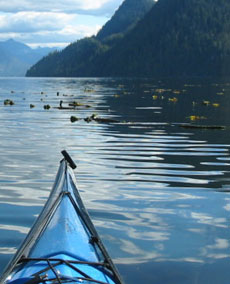 kayak-sales