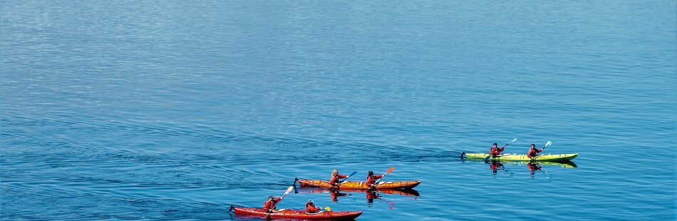 Inner Sound kayak group with Mike 2021 summer