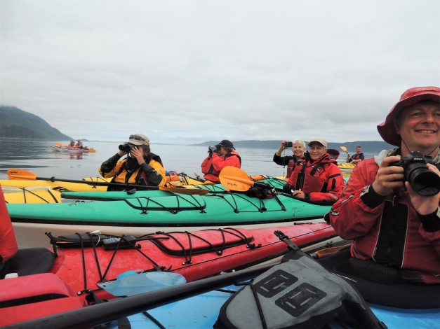 WHALE WATCHING CANADA 2017 NESKY v2