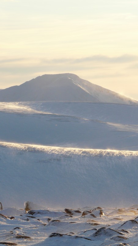 Cairngorm end jan 09 054