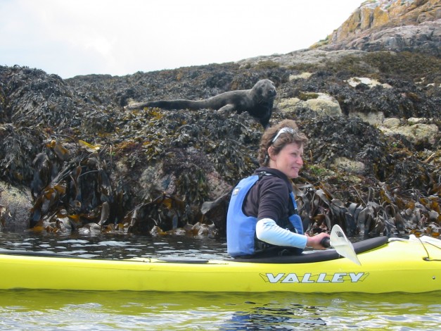 Lazy seal Isles of Raasay Rhona Kayak Expedition July 2007