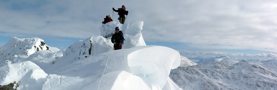 home banner winter